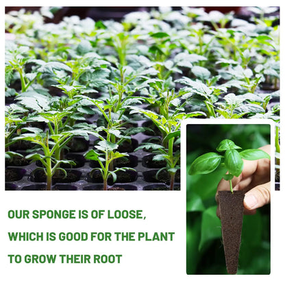 Easy Grow Plant Starters 50 Pack