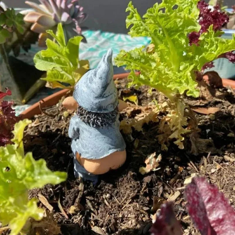 Quirky Gnome Statue for Outdoor Decor