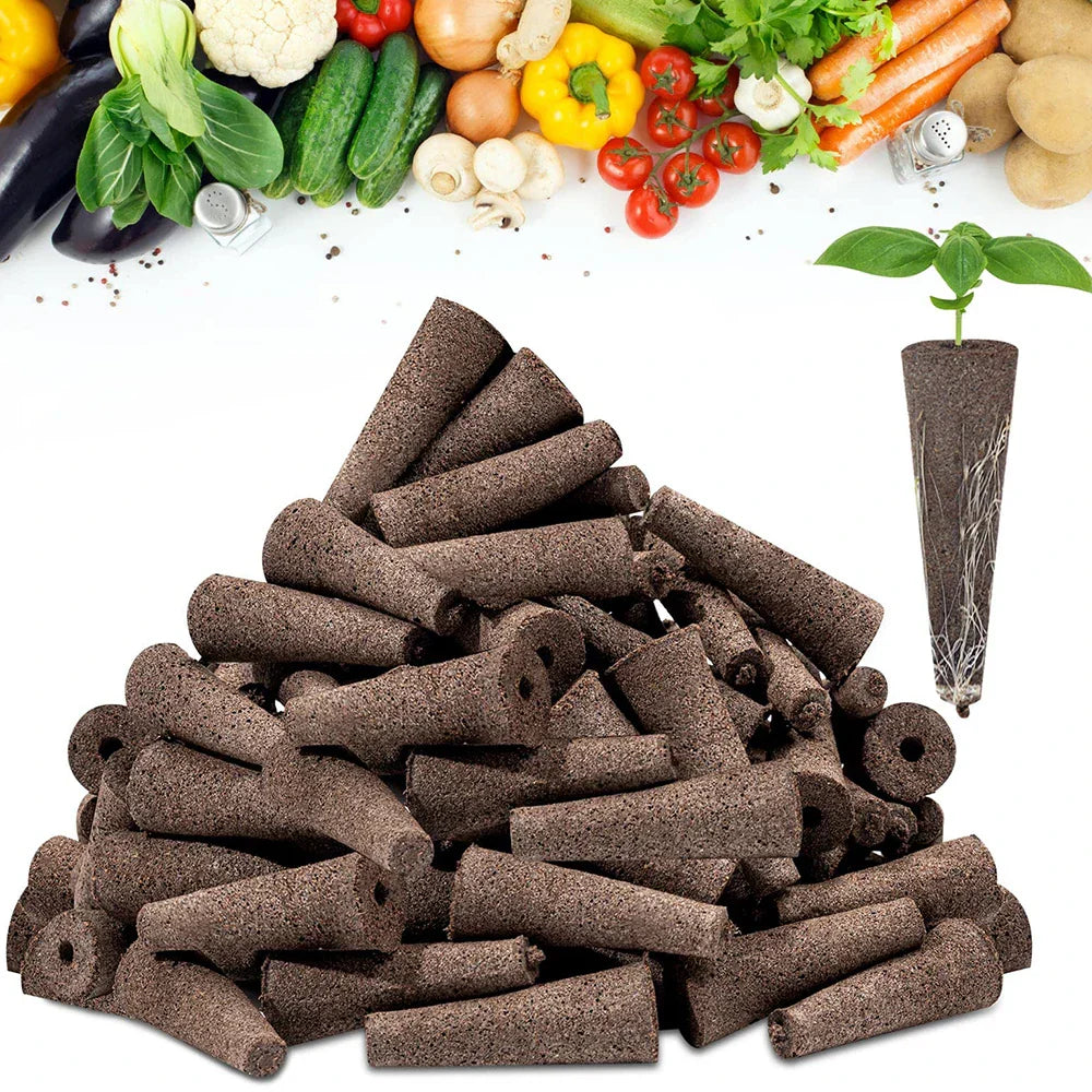 Easy Grow Plant Starters 50 Pack - Befez