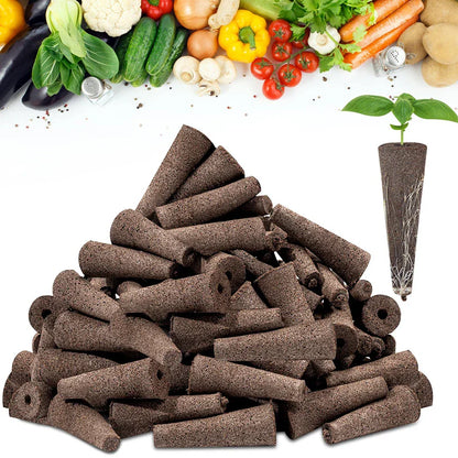 Easy Grow Plant Starters 50 Pack - Befez