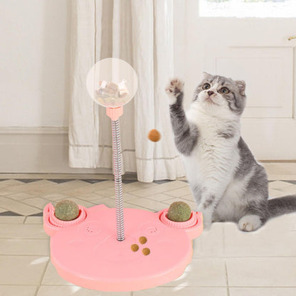 Fun Cat Puzzle feeder Toy