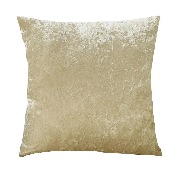 Plush Velvet Accent Pillow for Home Decor