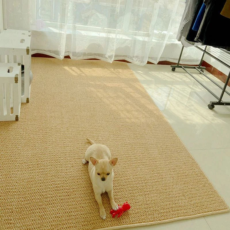 Natural Fiber Non-Slip Rug for Living Room and Bedroom - Befez