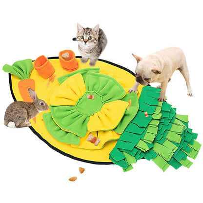 Fun Dog Sniffing Puzzle Mat