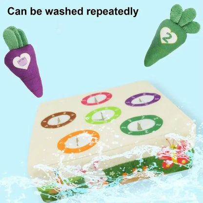 Colorful Interactive Pet Play Mat Toy