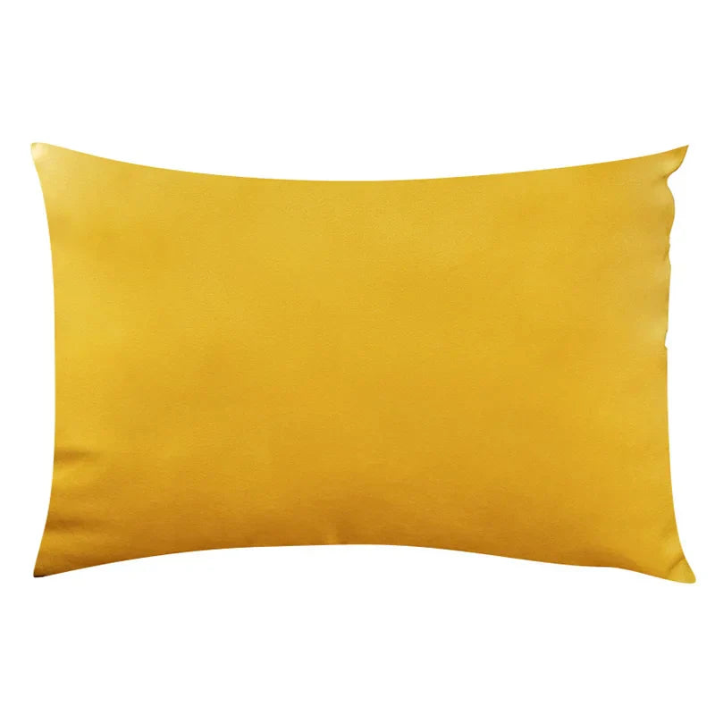 Soft Velvet Pillow in Bright Pastel Colors for Home