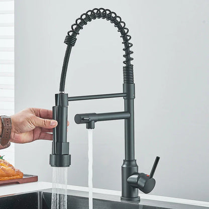 Contemporary Dual Spout Kitchen Faucet