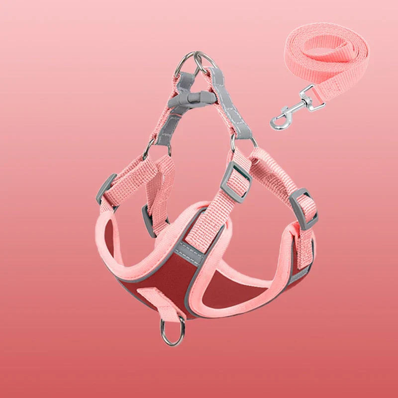 Visible Dog Vest - Safe Puppy Harness