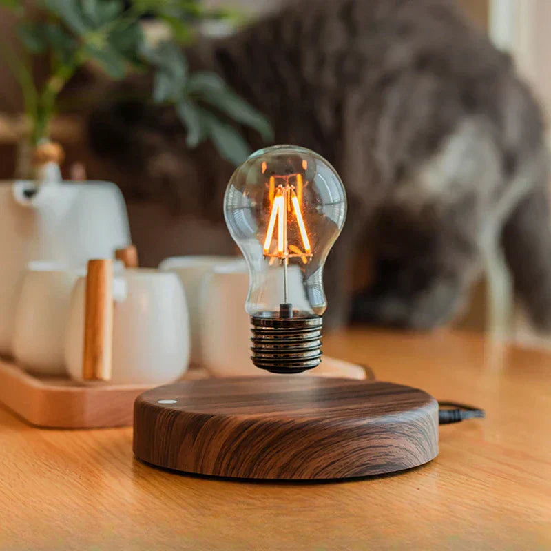 Flexible Rotating Magnetic Floating Night Lamp