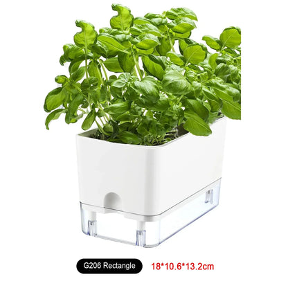 Smart Self Watering Indoor Planter Pot - Befez