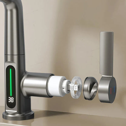 Modern Stainless Steel Faucet with LED Temp Control