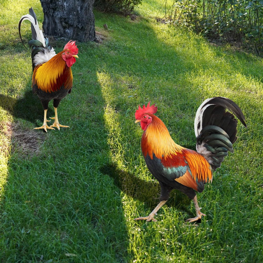 Colorful Bird Garden Statue - Befez