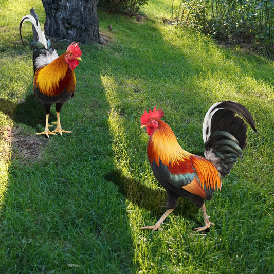 Colorful Bird Garden Statue - Befez