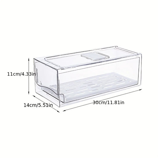 Compact Fridge Storage Container for Food & Produce - Befez
