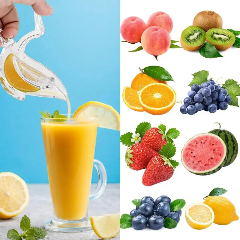 Easy Grip Citrus Juice Squeezer