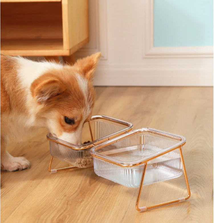Stylish Pet Feeder for Small Animals