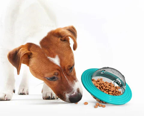 Fun Dog Puzzle Toy with Treat Dispenser - Befez