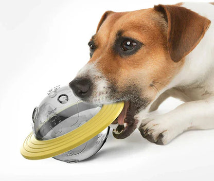 Fun Dog Puzzle Toy with Treat Dispenser
