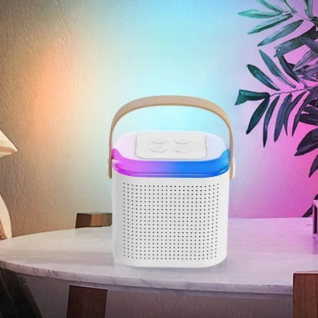 Portable Wireless Karaoke Microphone - Befez
