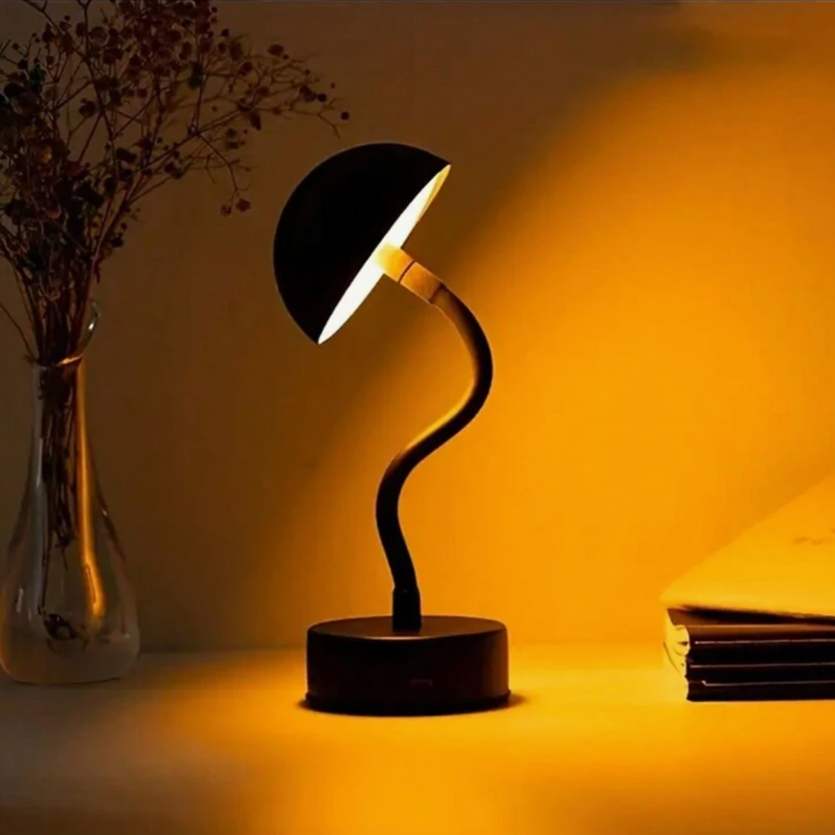 Portable LED Desk Lamp Befez