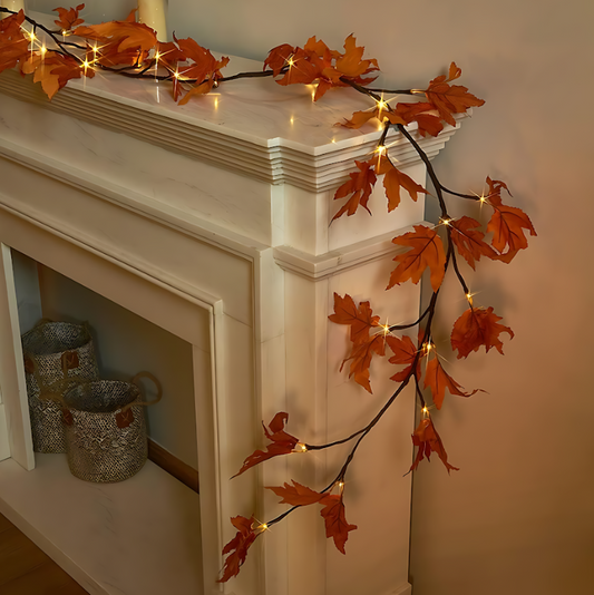 String Lights Indoor Outdoor Decor - Befez