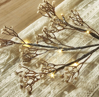 String Lights Indoor Outdoor Decor