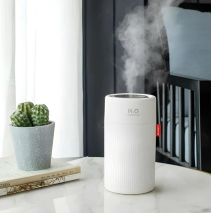 Compact Portable Mini Humidifier for Home