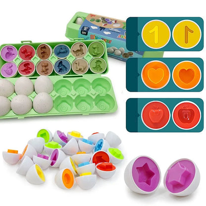 Fun Educational Sorting Toy