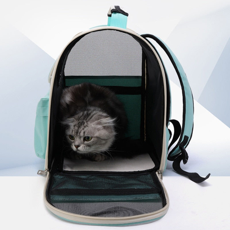 Ventilated Clear Kitty Travel Bag