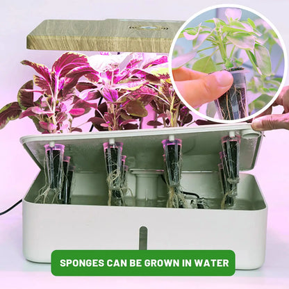 Easy Grow Plant Starters 50 Pack