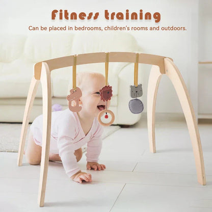 Colorful Wooden Rattle Toy Frame