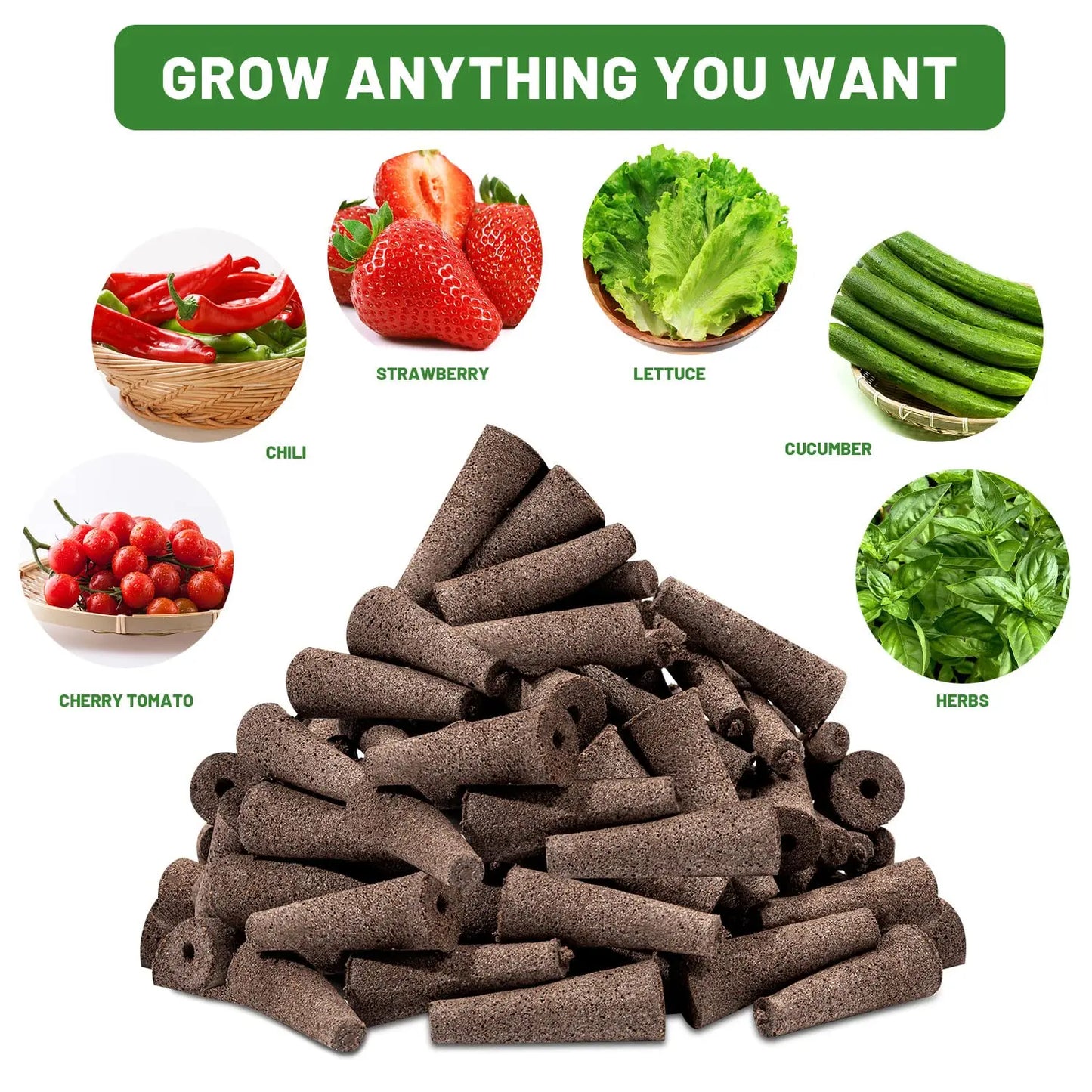 Easy Grow Plant Starters 50 Pack
