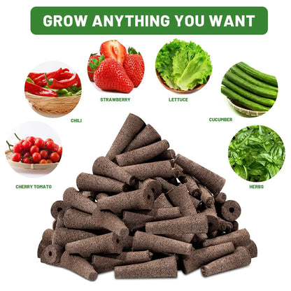 Easy Grow Plant Starters 50 Pack