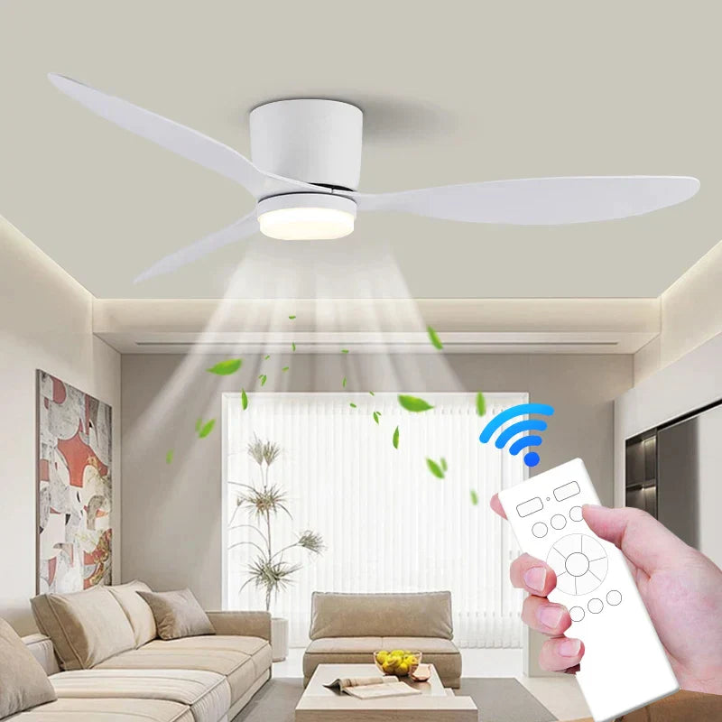 Modern Ceiling Fan With LED Light
