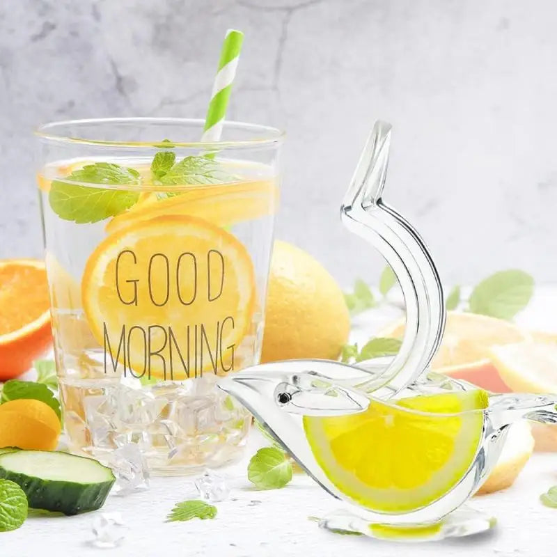 Easy Grip Citrus Juice Squeezer