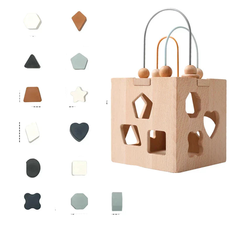 Educational Wooden Shape Sorting Toy Block