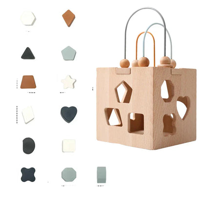 Educational Wooden Shape Sorting Toy Block