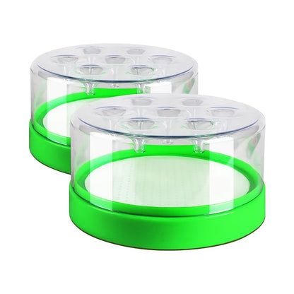 Natural Fly Catcher Trap with 7 Entrances