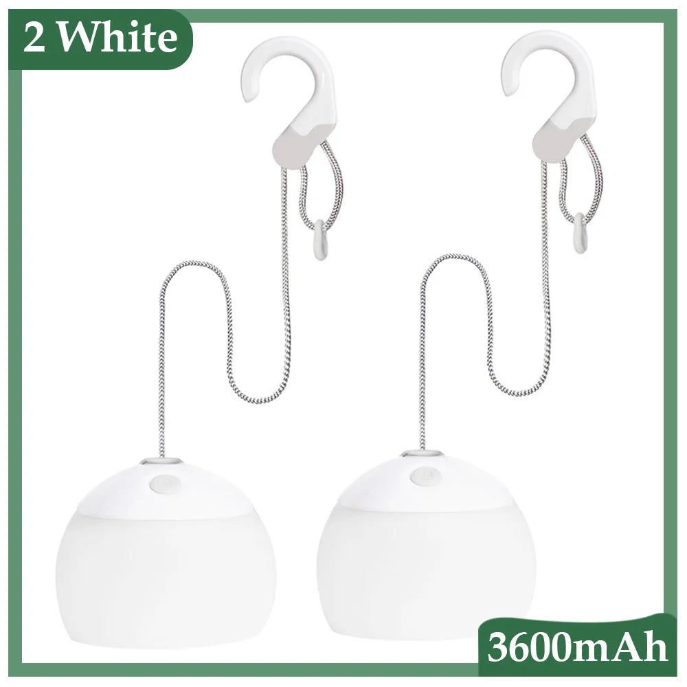 Portable LED Camp Light with USB Charger