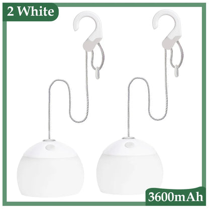 Portable LED Camp Light with USB Charger