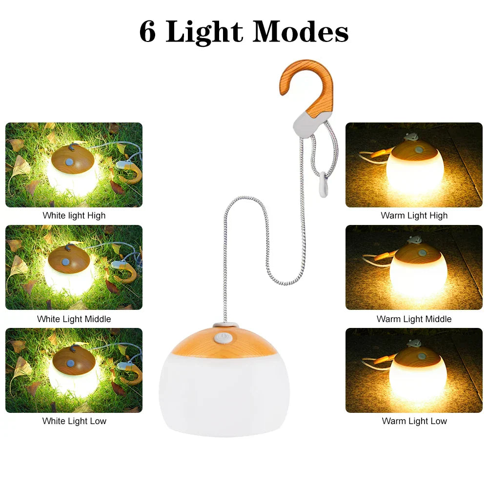 Portable LED Camp Light with USB Charger