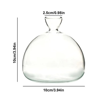 Clear Glass Avocado Planter Vase - Befez