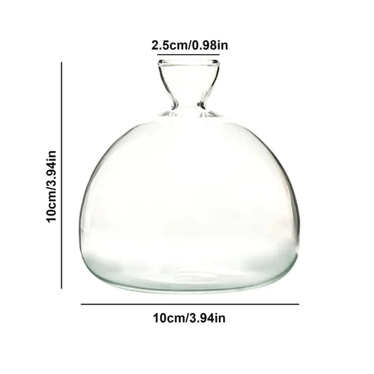 Clear Glass Avocado Planter Vase - Befez