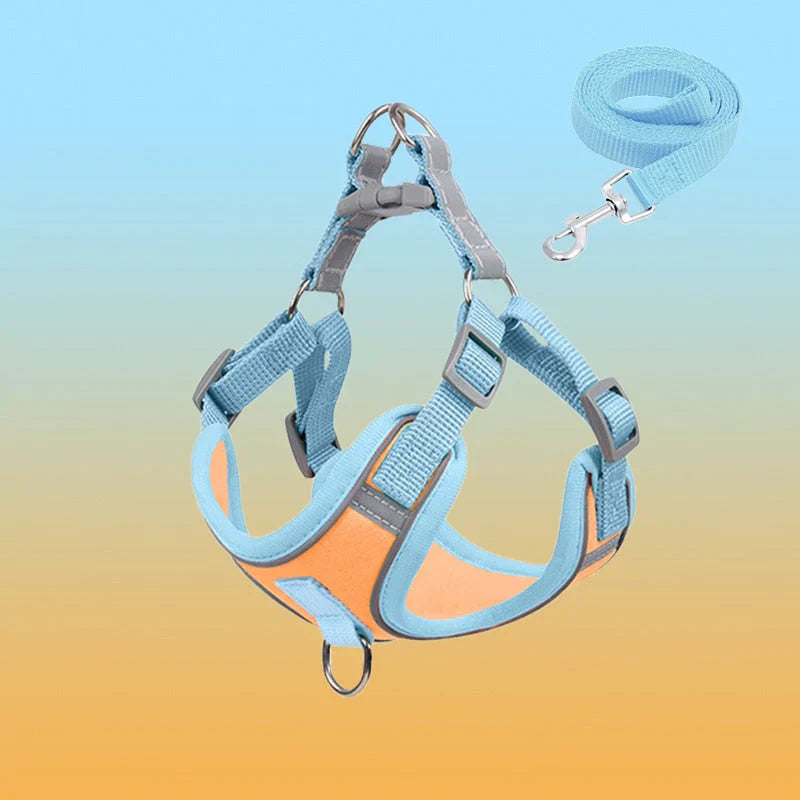 Visible Dog Vest - Safe Puppy Harness