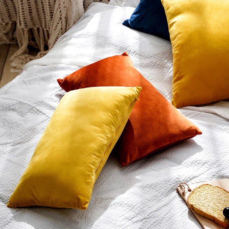 Soft Velvet Pillow in Bright Pastel Colors for Home