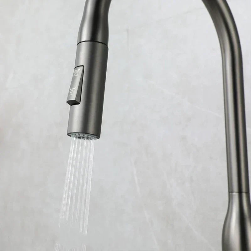 Premium Kitchen Faucet with Adjustable Hand Sprayer