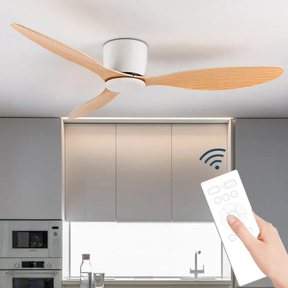 Modern Ceiling Fan With LED Light