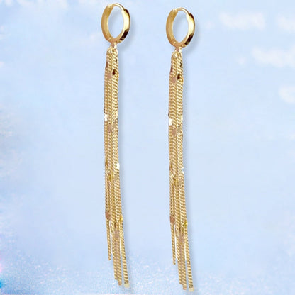 Chic Drop Long Dangle Earrings