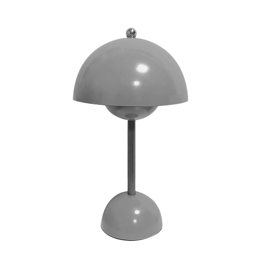 Sleek Metal Desk LED Lamp
