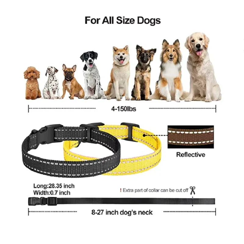 Waterproof Remote Dog Training Collar with 1000m Range